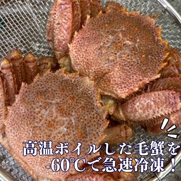 | 毛ガニ