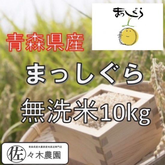 青森県産 令和6年度 新米 まっしぐら 無洗米 10kg 農家直送 産地