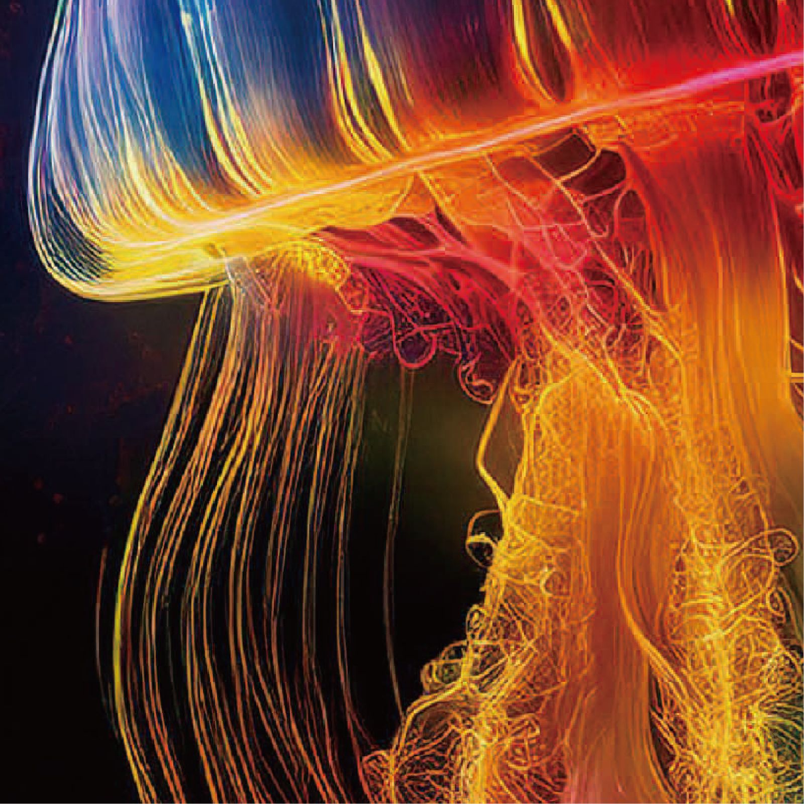 h*i様 iroca ミズクラゲ jellyfish rainbow リバーシブ 虹クラゲ <NO.001>（Rainbow Jellyfish）』 《ショップオリジナル