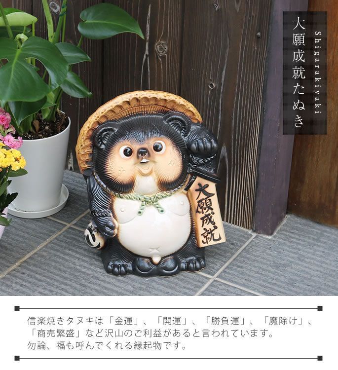 楽天市場】信楽焼 たぬき 大型 人気 おすすめ おしゃれ 狸 置物