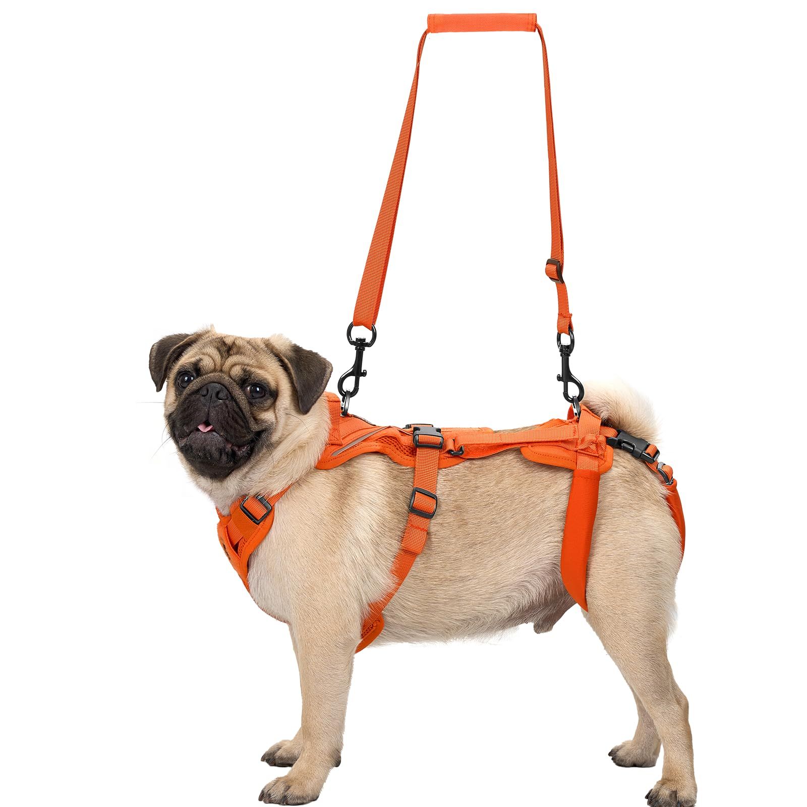 Dナイロン お手入れが簡単な素材