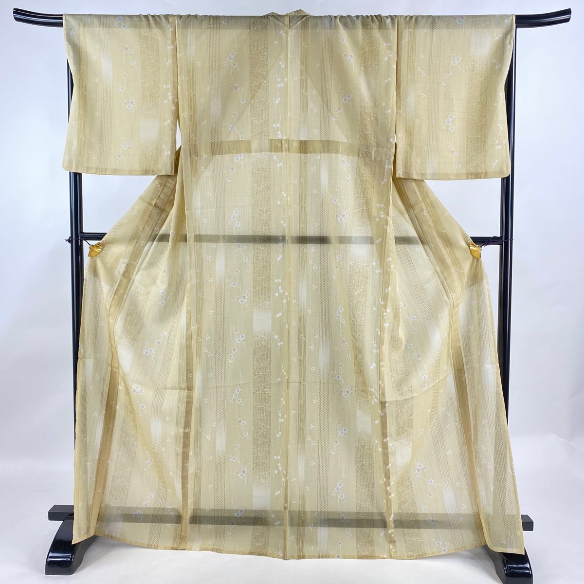 1ST JAPAN TOUR 注文 LIVE DVD「WARRIOR Begins」(初回限定版-LIMITED