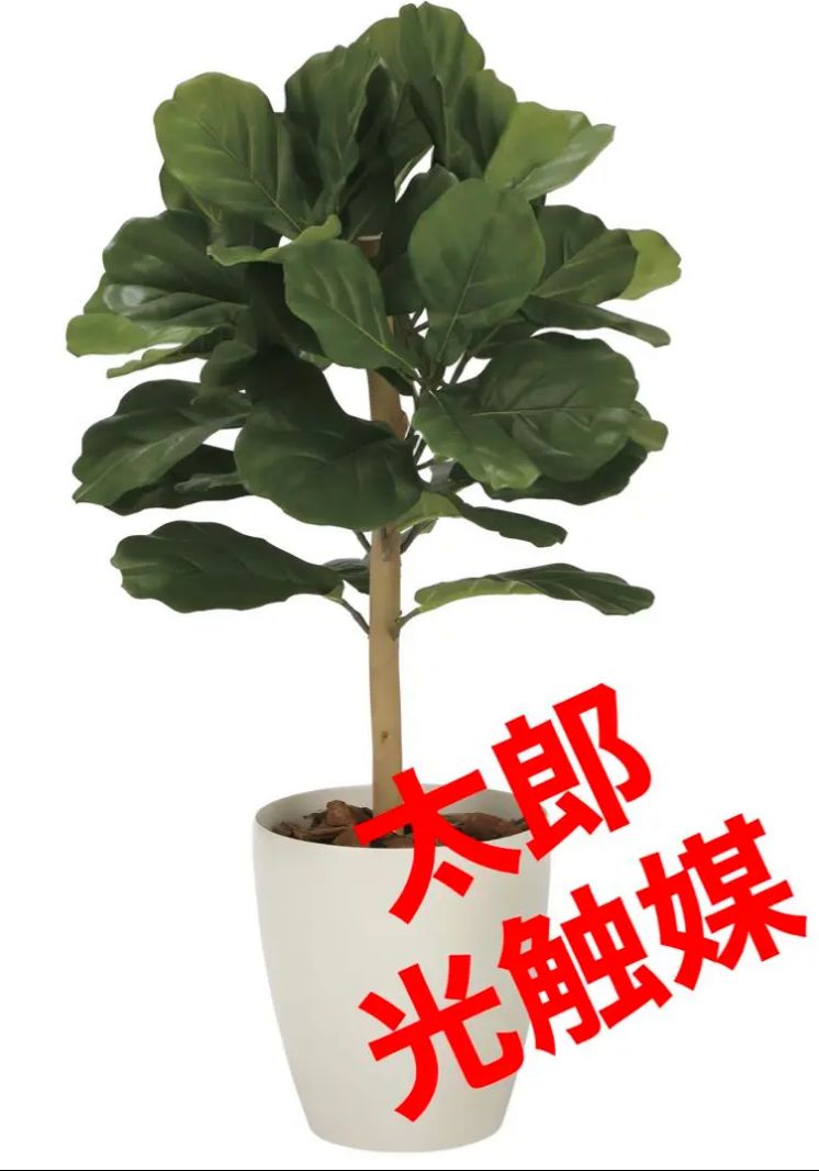 光触媒 人工観葉植物 ストア ウォールグリーン フェイクグリーン DX