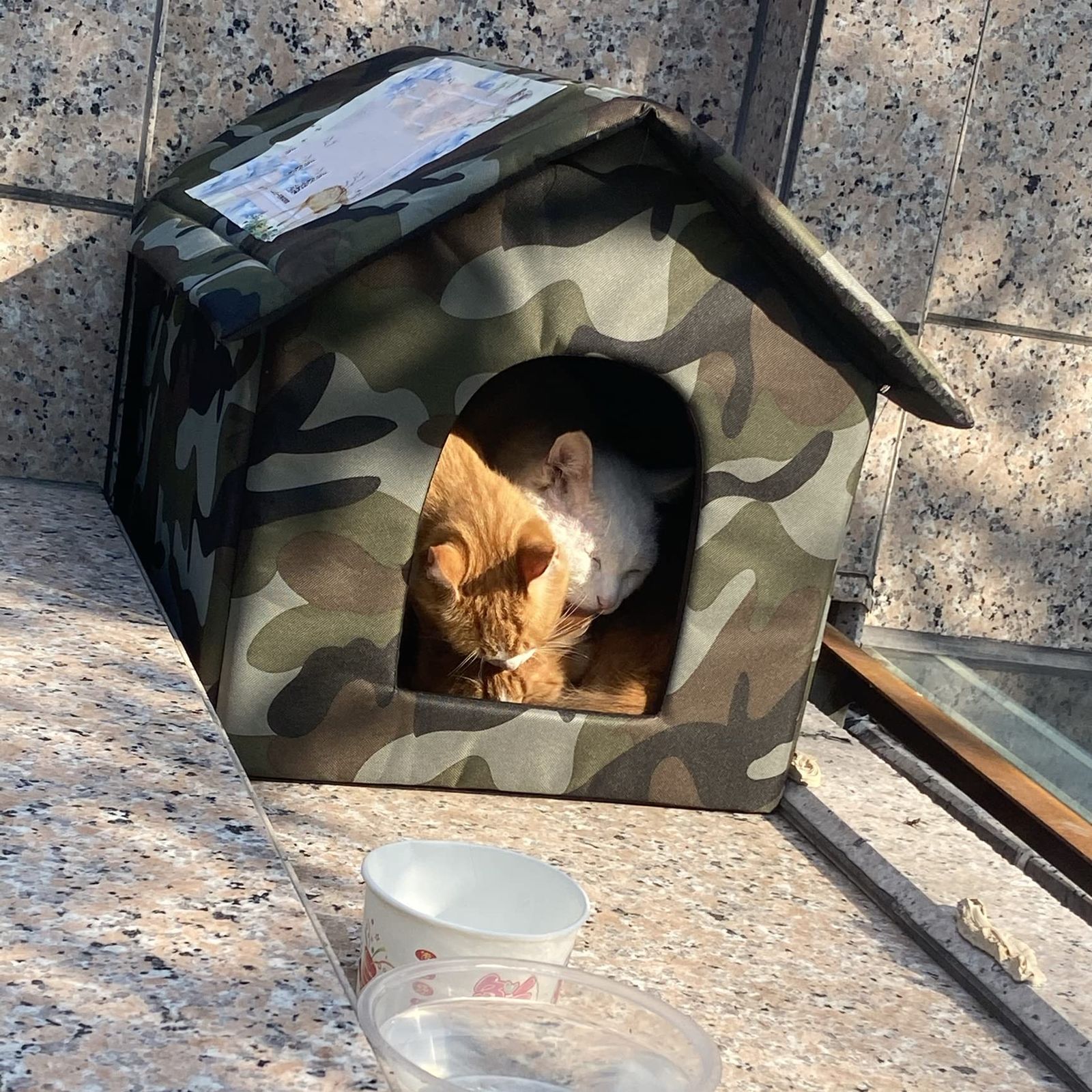 【新品未使用】ペット用寝袋 猫小屋 ペットベッド キャットハウス 犬小屋 ドッグハウス 猫の家 野良猫犬 屋外防水 屋外キャビンシェルター 折りたたみ式寝マット 猫ハウス 暖かい 保温防寒 防水 猫ベッド 防風 冬寒さ対策 MUYYIKA 冬 おしゃれ