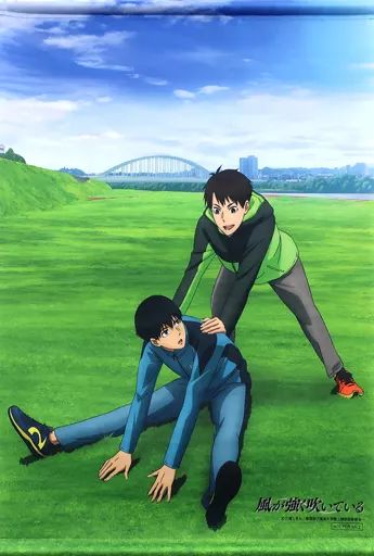 タペストリー 走＆灰二 描き下ろしB2タペストリー Blu-ray|DVD 風が強く吹いている TOHO animation STORE全巻