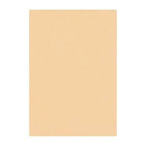 リンテック ニュー Ｒ 8 NCR-111 しらちゃ