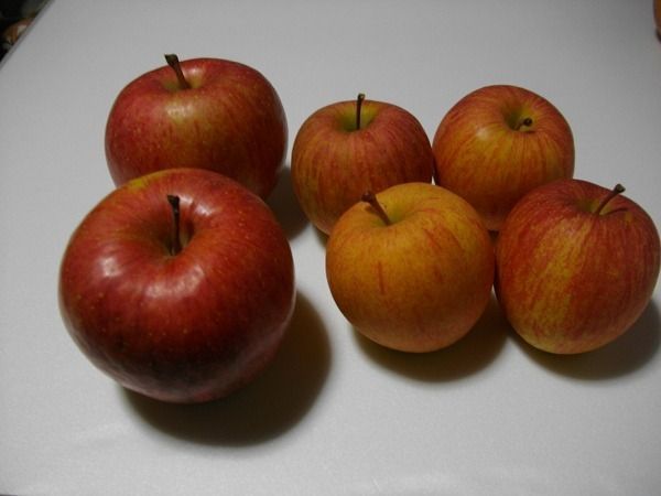 色や見た目が悪いC級品