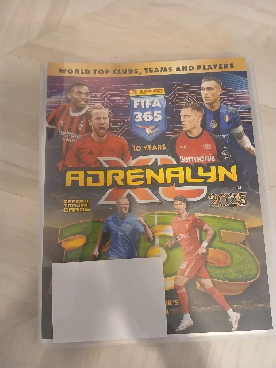 Panini パニーニ 2025 FIFA フィファ 1 番号から 441 回 整理