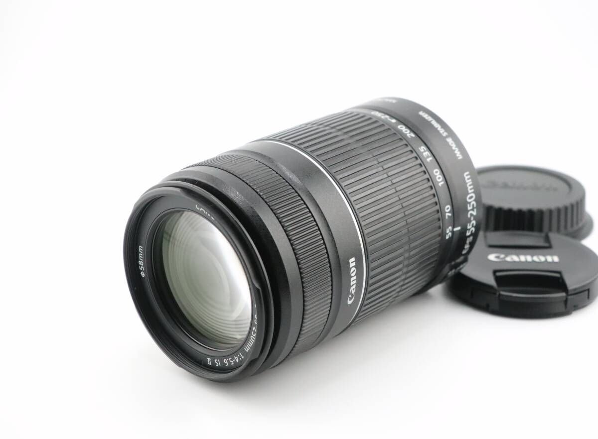 上品 キヤノン CANON EF-S 55-250mm F4-5.6 IS II W0955＃3368