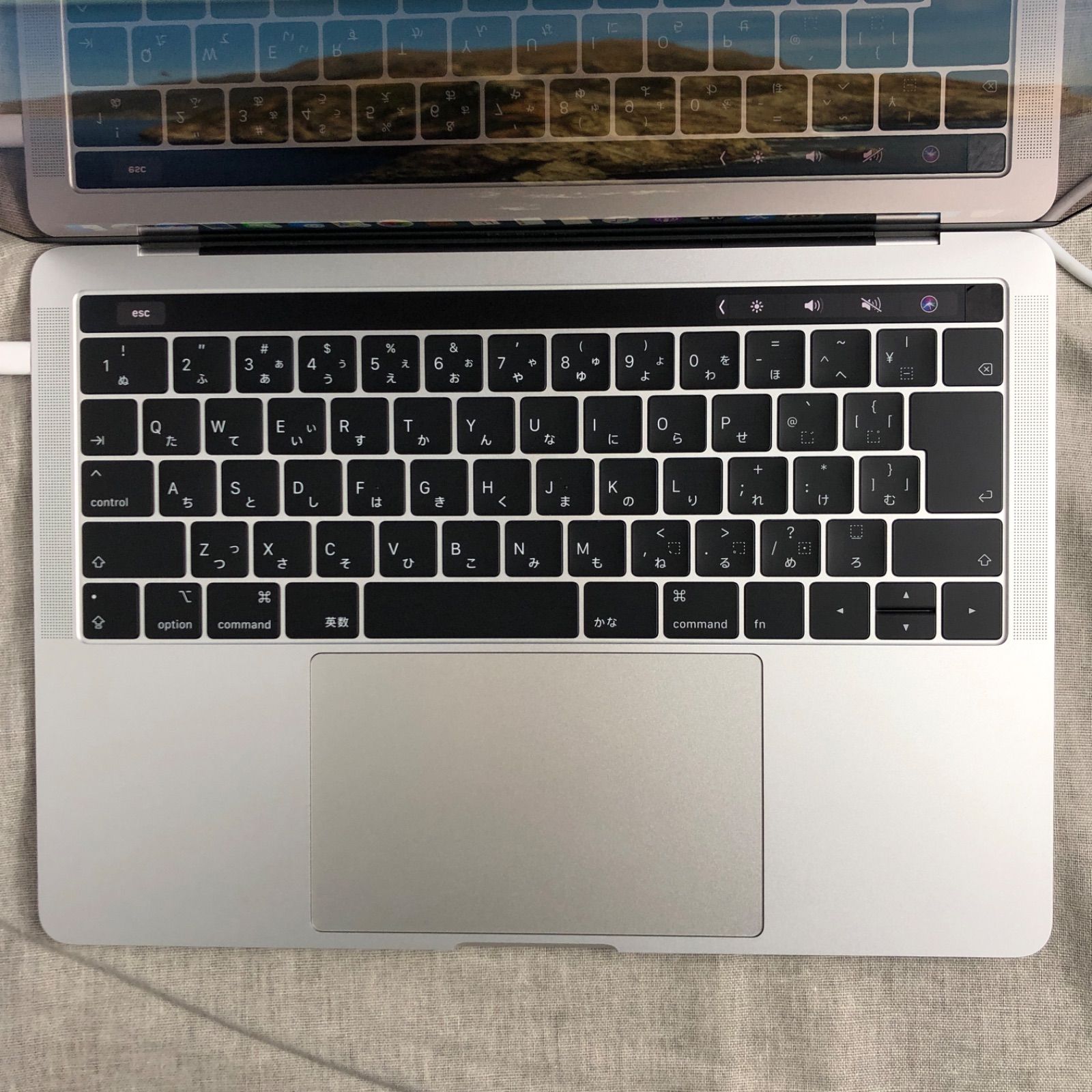 ◇ジャンク品・本体のみ◇Apple MacBook Pro (13インチ, 2019 