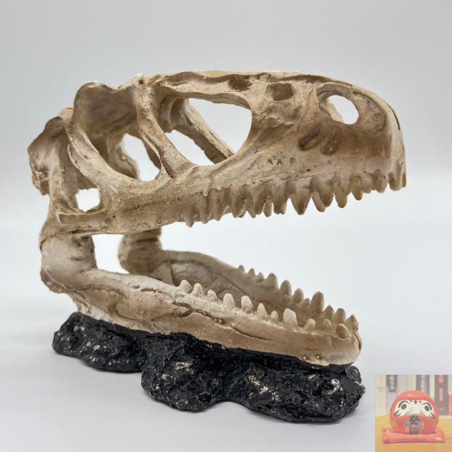 恐竜 ティラノサウルス 化石 レプリカ 歯 牙 Amazon | SCIENCE Fossil Replica T-REX Tooth「T-REX