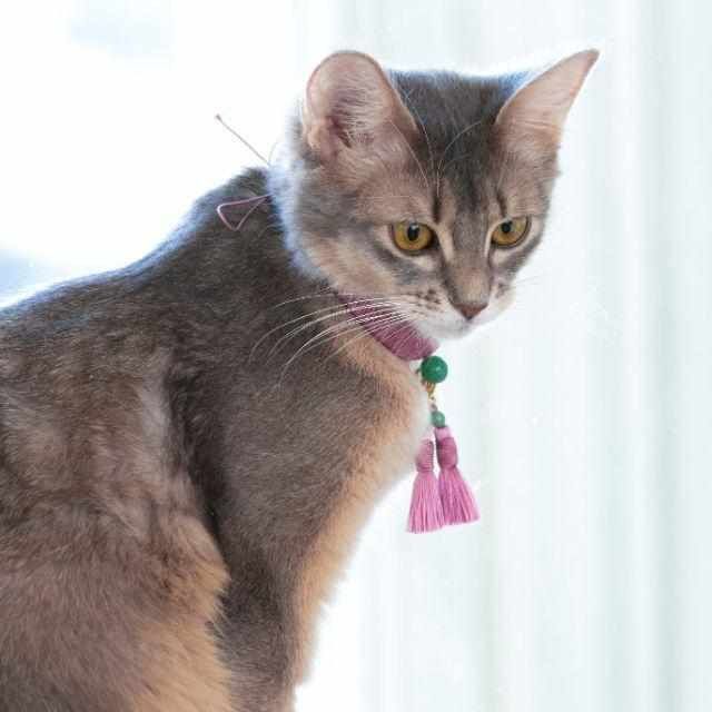 京念珠 ねこのわ