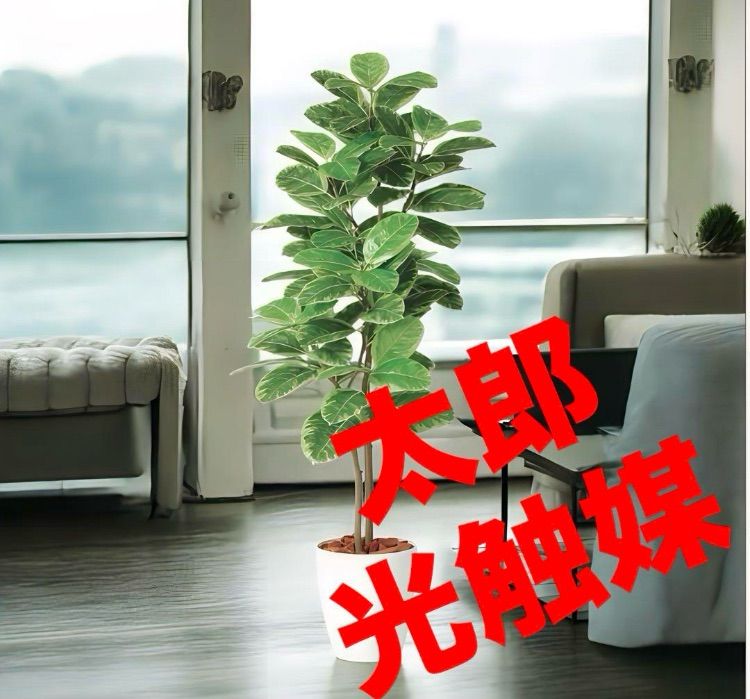 光触媒　人工観葉植物　ウォールグリーン　フェイクグリーン　アルテシマ株立FST 光触媒 人工観葉植物 ウォールグリーン フェイクグリーン