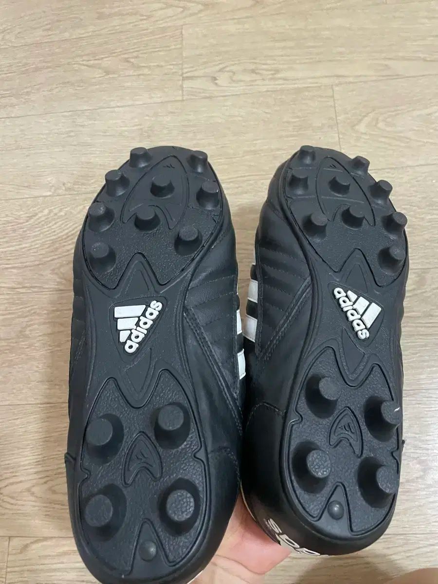 280size