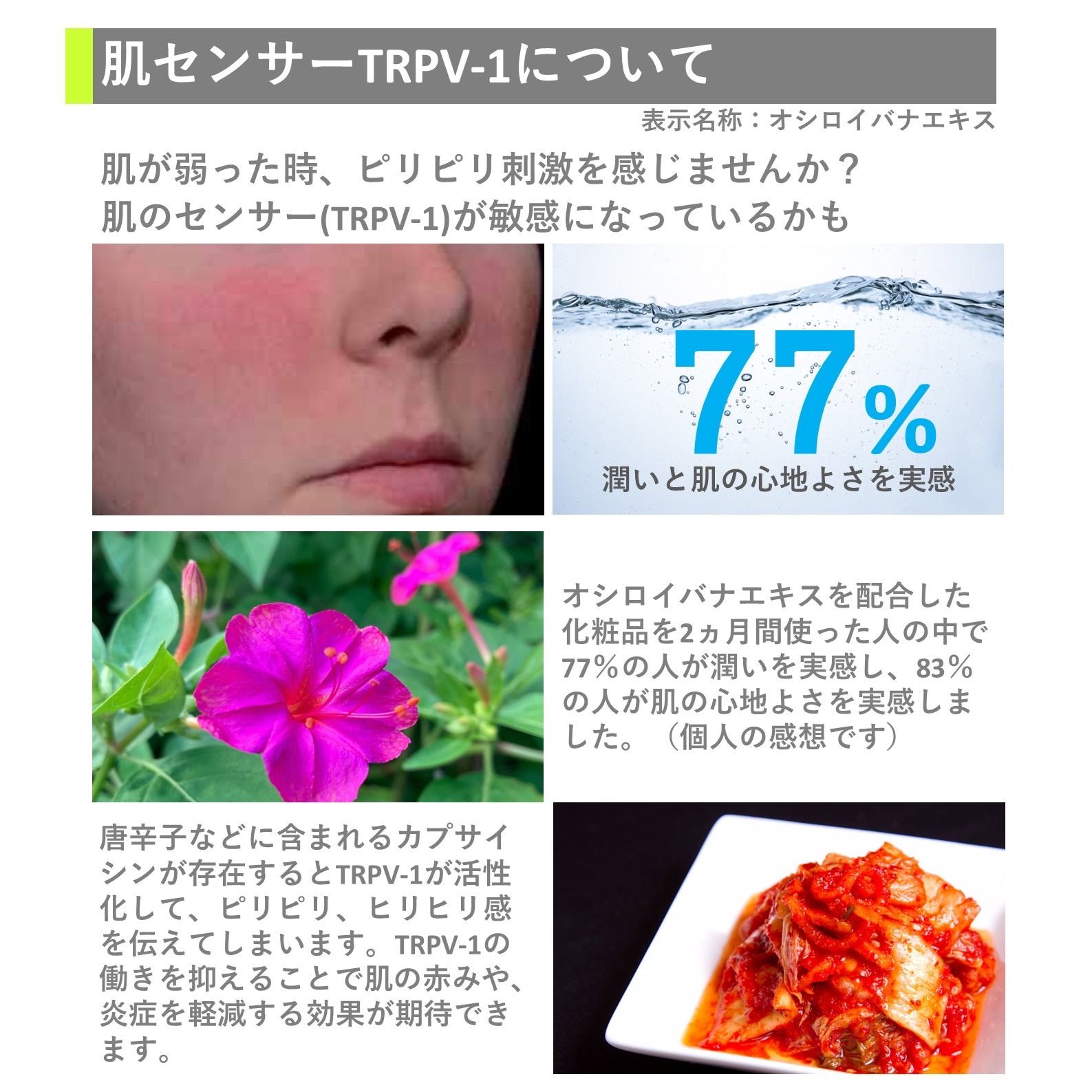 フローラバランスエッセンス001 (乳酸菌配合美容液) 30g 毛穴 日焼けダメージ 敏感 乾燥肌