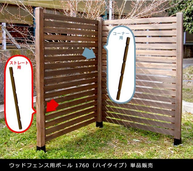 バラ