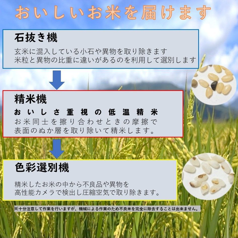 白米 お米