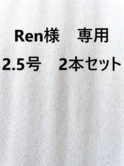 Ｒｅｎ様 専用 2.5号 2本セット - エギングショップ マルナカ - メルカリ