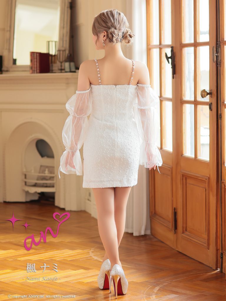 アンMサイズドレスAOC3751-W-2408 