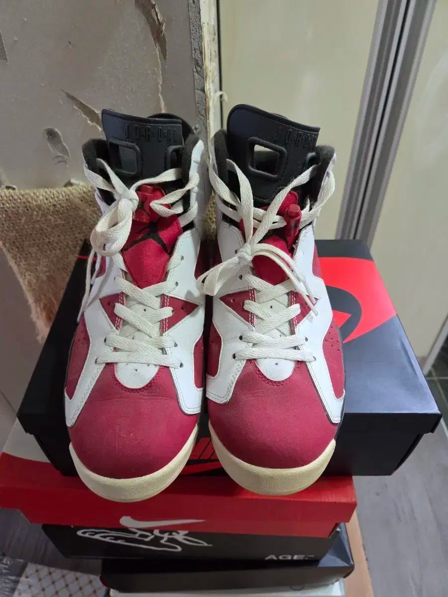 ナイキ エア ジョーダン 6 カーミン 2014