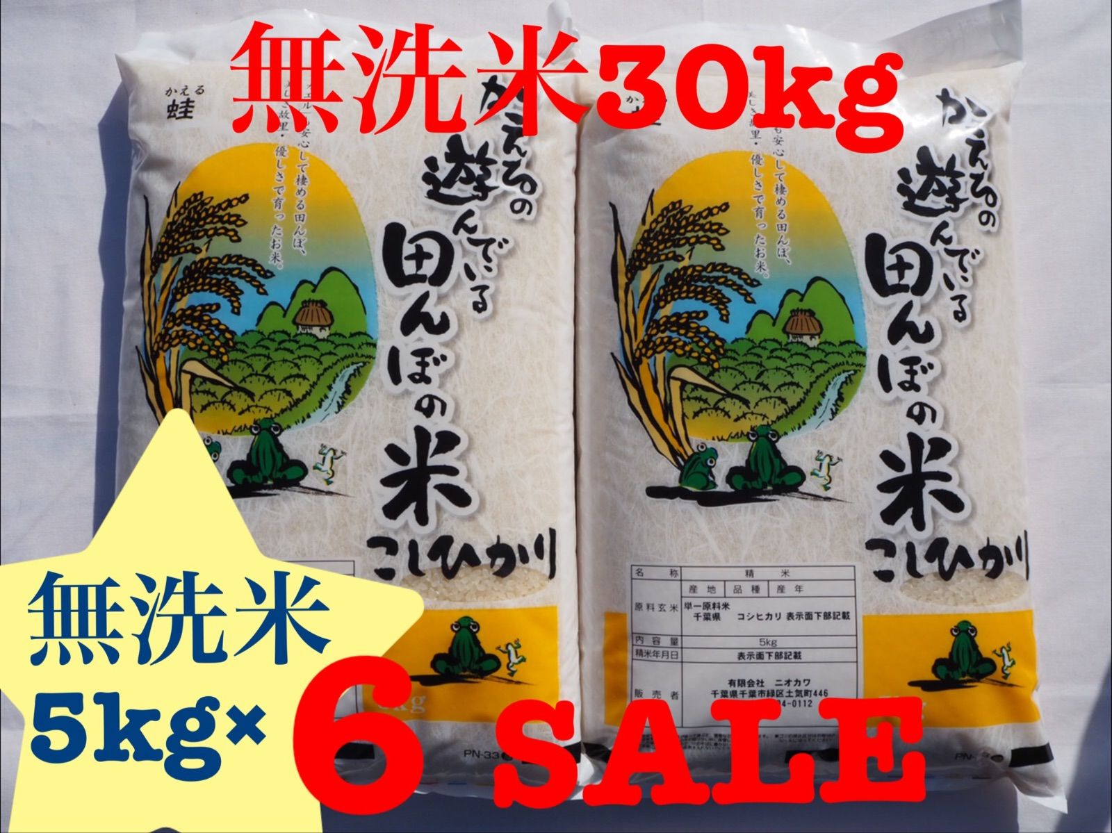 コシヒカリ 千葉県産 無洗米 30kg 5kg×6 30キロ