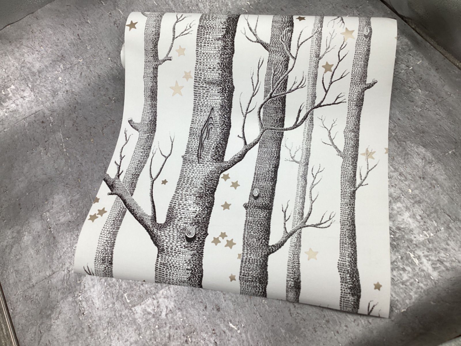 輸入壁紙6mカット COLE&SON 112/3009