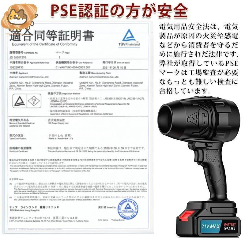 2025最新