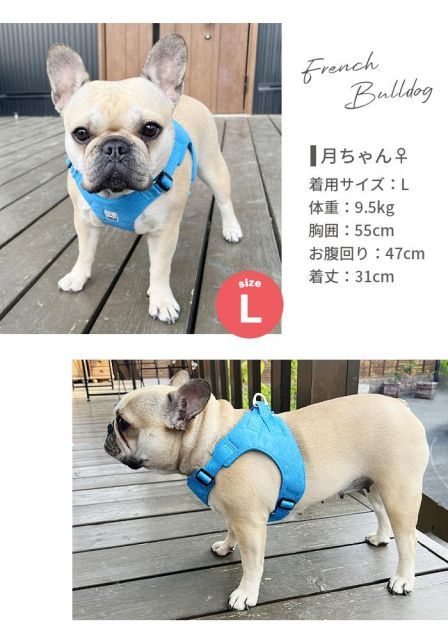 種類20：レッド/Sサイズ 【Truelove】 犬 リサイクルペットハーネス