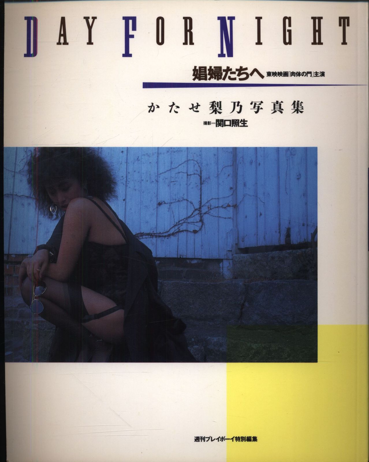 R18/週刊プレイボーイ特別編集 かたせ梨乃 娼婦たちへ DAY FOR