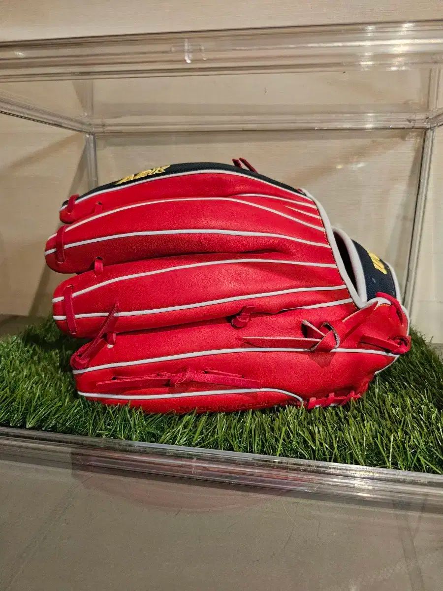 ウィルソンKorea