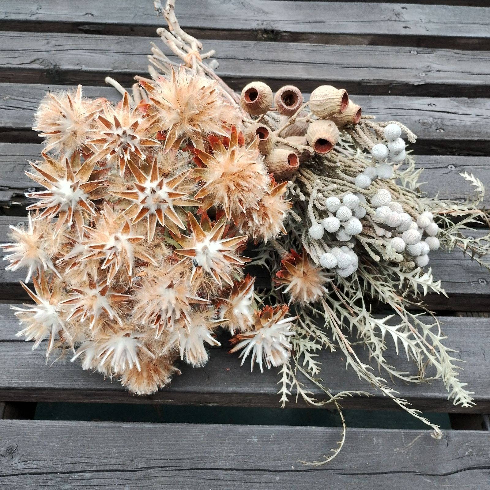 ドライフラワー グレビレア ショップ ゴールド 10本 楽天市場】【東京