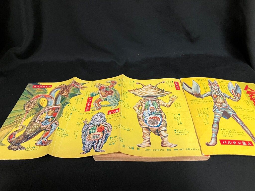 怪獣大百科事典