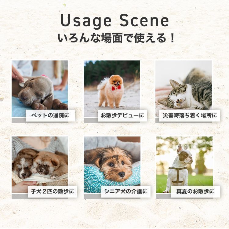 小型犬 中型犬