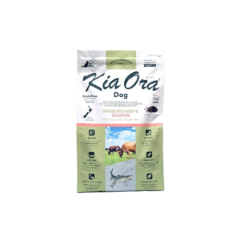 ★希少★テクサ TEXER AUTO MAT 二眼レフ シャッターOK ☆希少☆テクサ TEXER AUTO MAT 二眼レフ シャッターOK