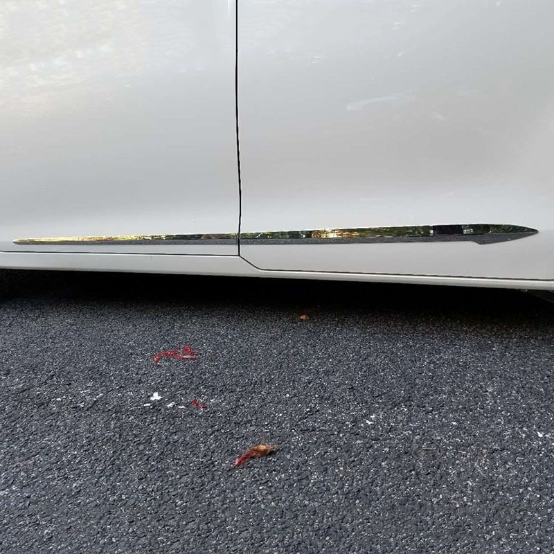 4点セット ABS電鍍仕上げ｜ドアモールステッカー