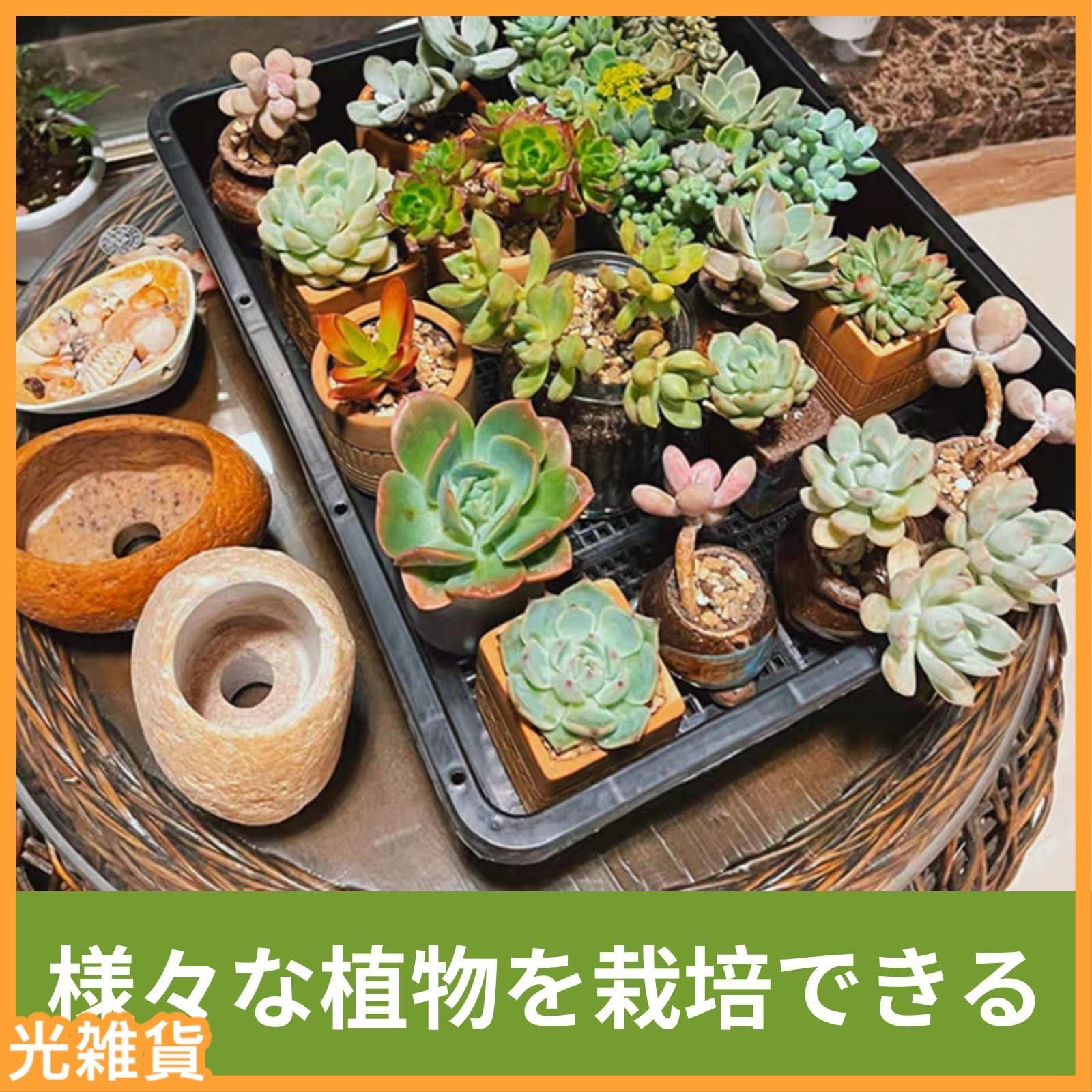 人気商品】苗床 育苗トレイ育苗箱 トレイ稚苗用苗箱 育苗