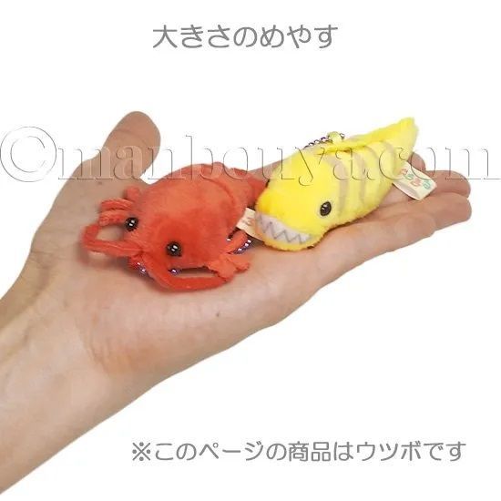 ウツボのぬいぐるみ Amazon.co.jp: ウツボのぬいぐるみぬいぐるみおもちゃFiesta