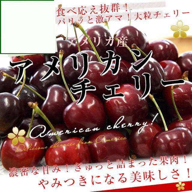 アメリカンチェリー10.5Wサイズ8キロ入り アメリカ産 アメリカンチェリー 大粒10Rから10.5Rサイズ 約800g