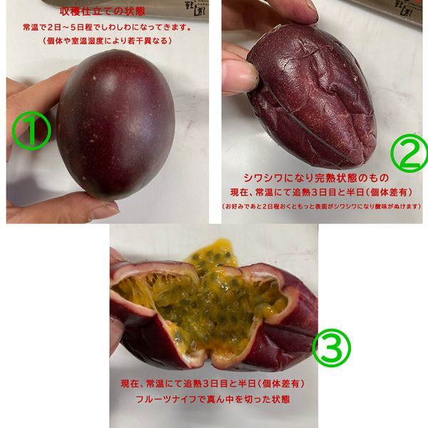 熊本県産訳ありパッションフルーツ8キロ 【公式通販】