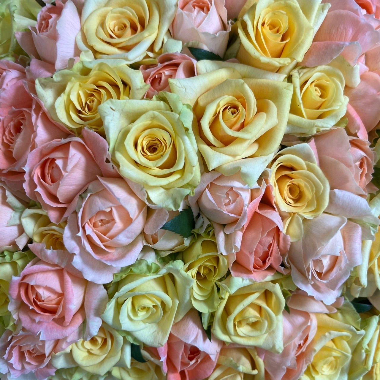 80本の薔薇の花束＊30㎝ 80本 黄色オレンジMIXラッピング込❗️傘寿