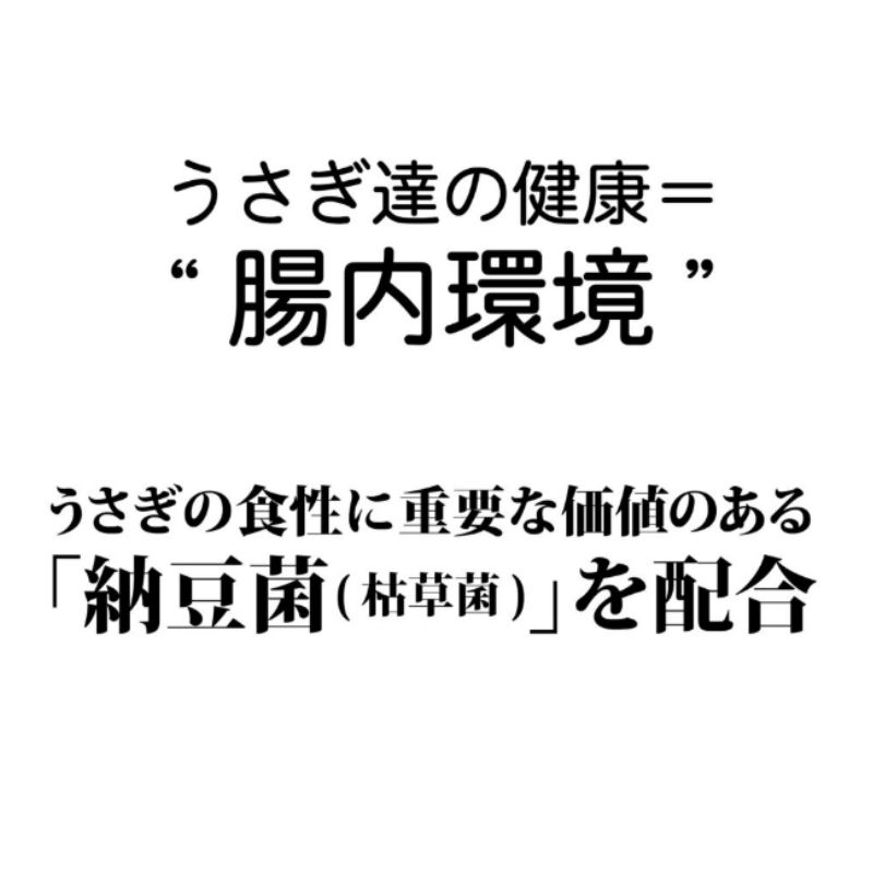 ラビット
