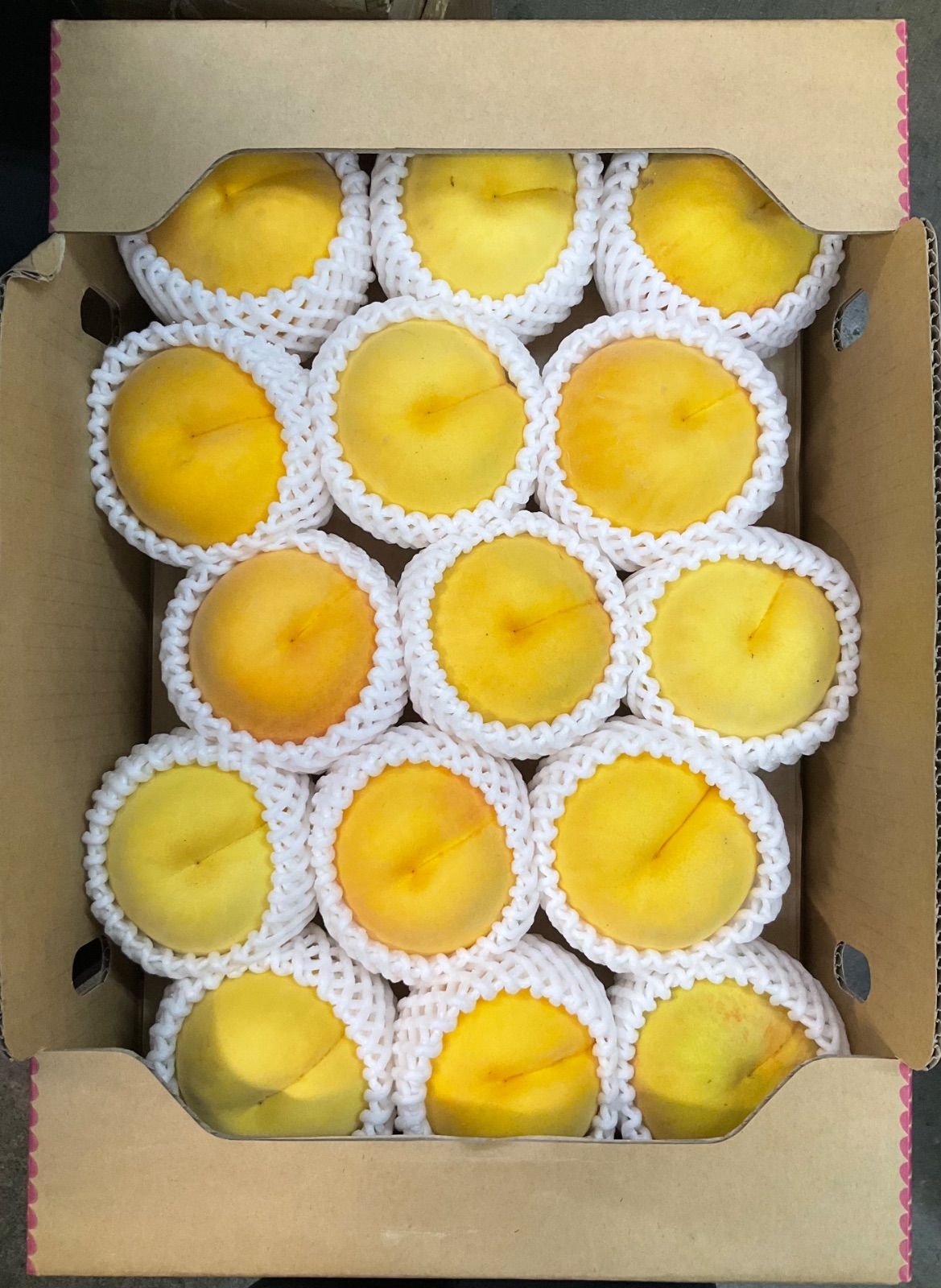 山形産 黄金桃 5kg箱 柔らかい桃 傷打身など