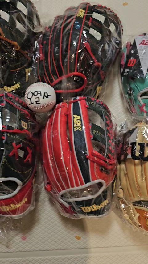 ウィルソンKorea