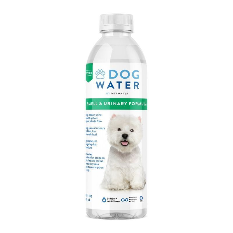 （まとめ買い）ファンタジーワールド ドッグウォーター 500ml 犬用 ペット用品 【×12セット】