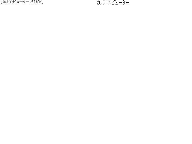 自社品番250170