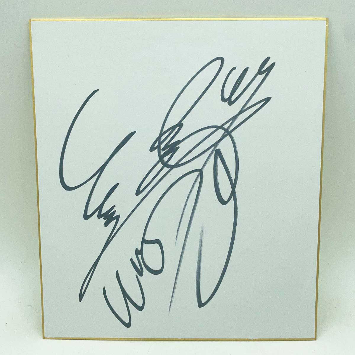 NOA 直筆サイン NOAH プロレスリング・ノア 直筆サイン入り 征矢学 色紙 - メルカリ