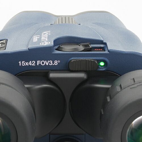 コンサート フェス