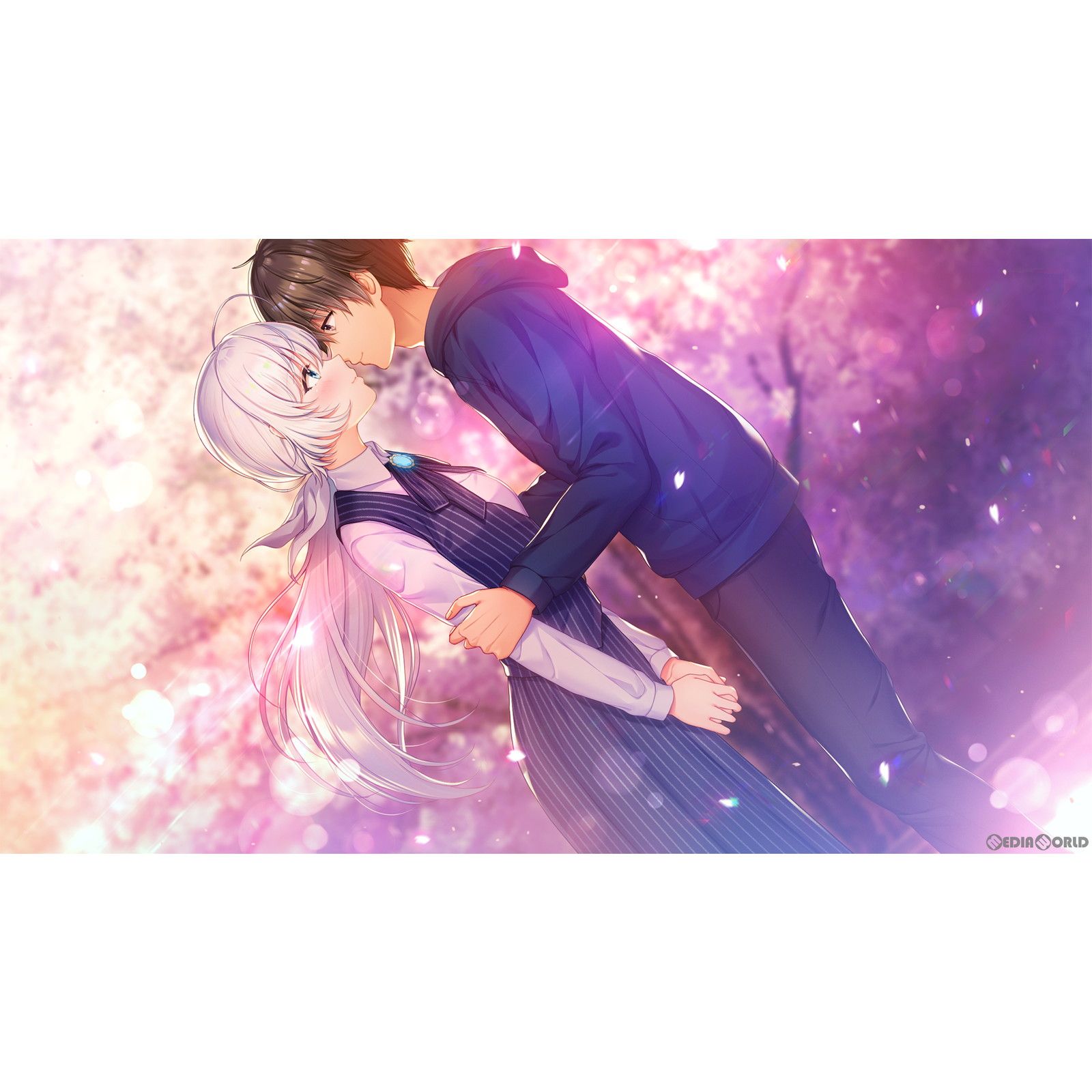 DREAM - PS4ソフト2045、月より。 The Butterfly Dream 完全生産限定版 エンターグラム PS4ソフト2045、月より。 The Butterfly Dream 完全生産限定版