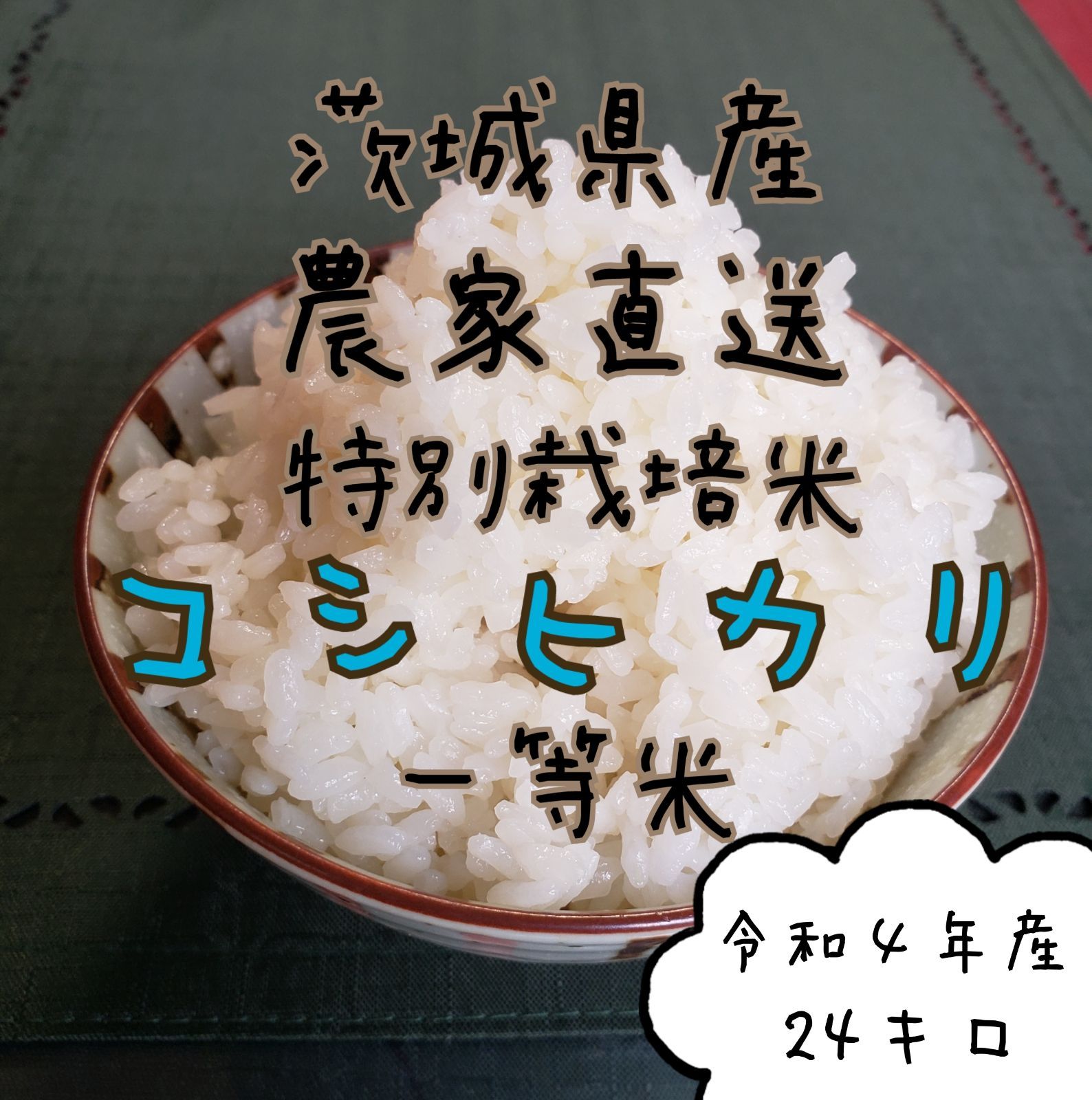 お米　令和4年茨城県産　コシヒカリ　24kg米/穀物