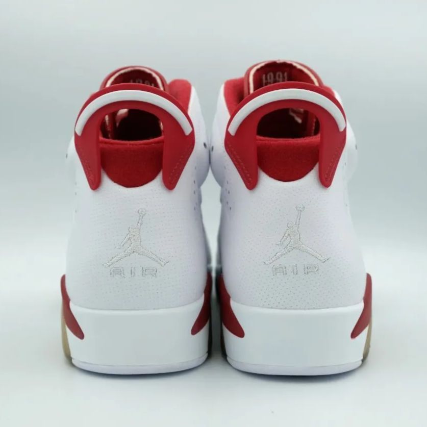 NIKE AIR JORDAN 6 RETRO ALTERNATE ナイキ エア ジョーダン 6
